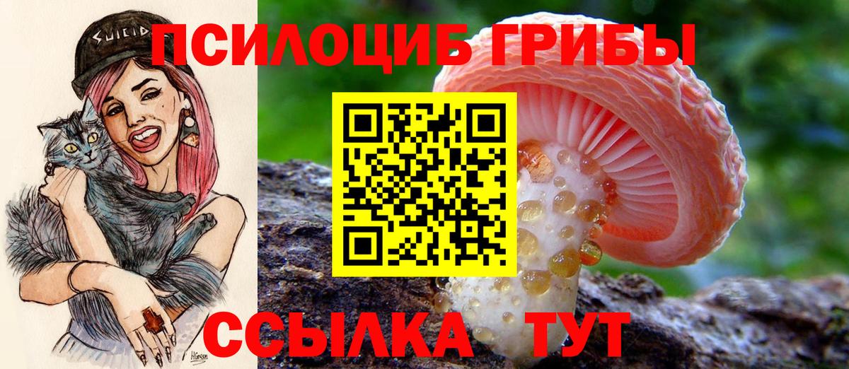 Псилоцибиновые грибы мицелий Уварово