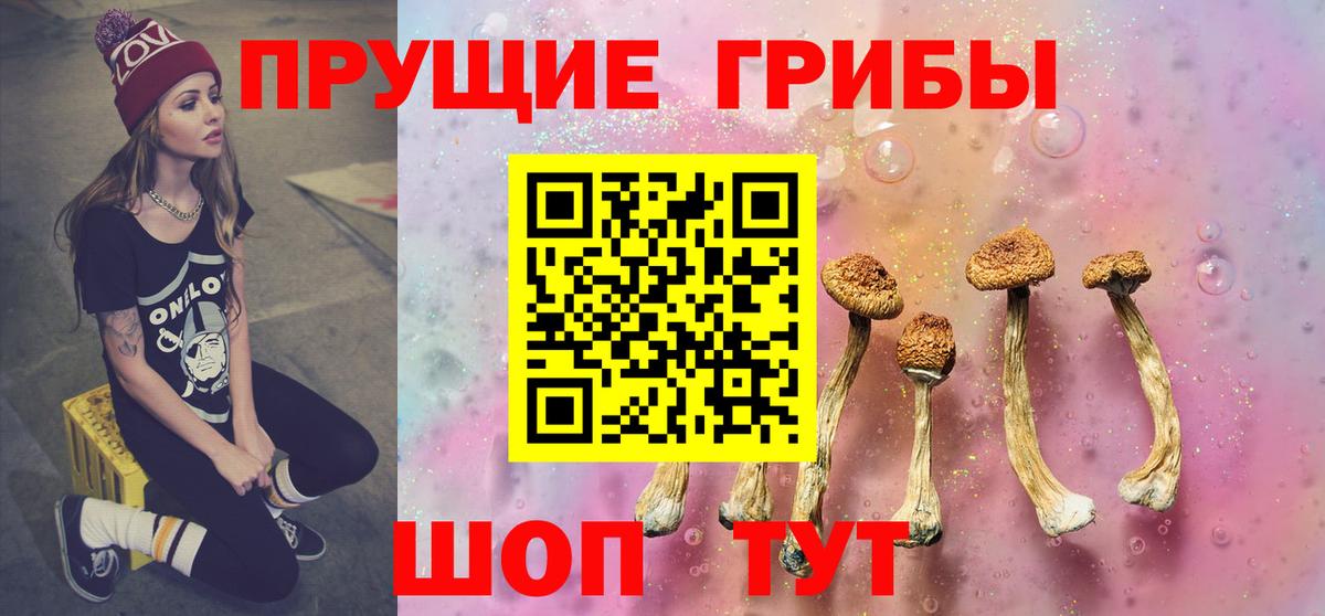Уварово  Псилоцибиновые грибы MAGIC MUSHROOMS  Вход с VPN 